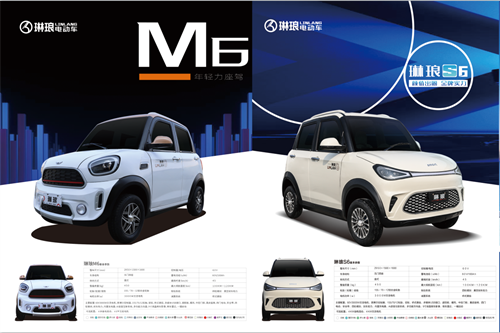 山东电动汽车